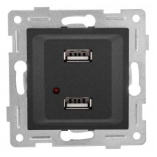 Розетка USB 2-м СП Ugra механизм графит GUSI С11USB2-010