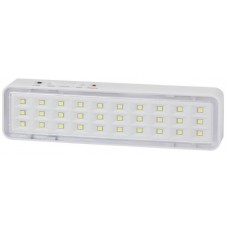 Светильник светодиодный DBA-101-0-20 30LED 5ч IP20 аварийный непостоянный Эра Б0044394