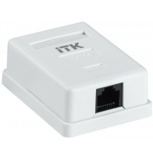 Розетка компьютерная 2-м СП RJ45 кат.5E UTP ITK CS2-1C5EU-2-1